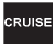 Cruise SET Indicator*